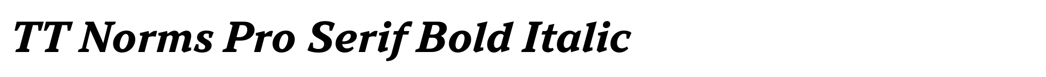 TT Norms Pro Serif Bold Italic image